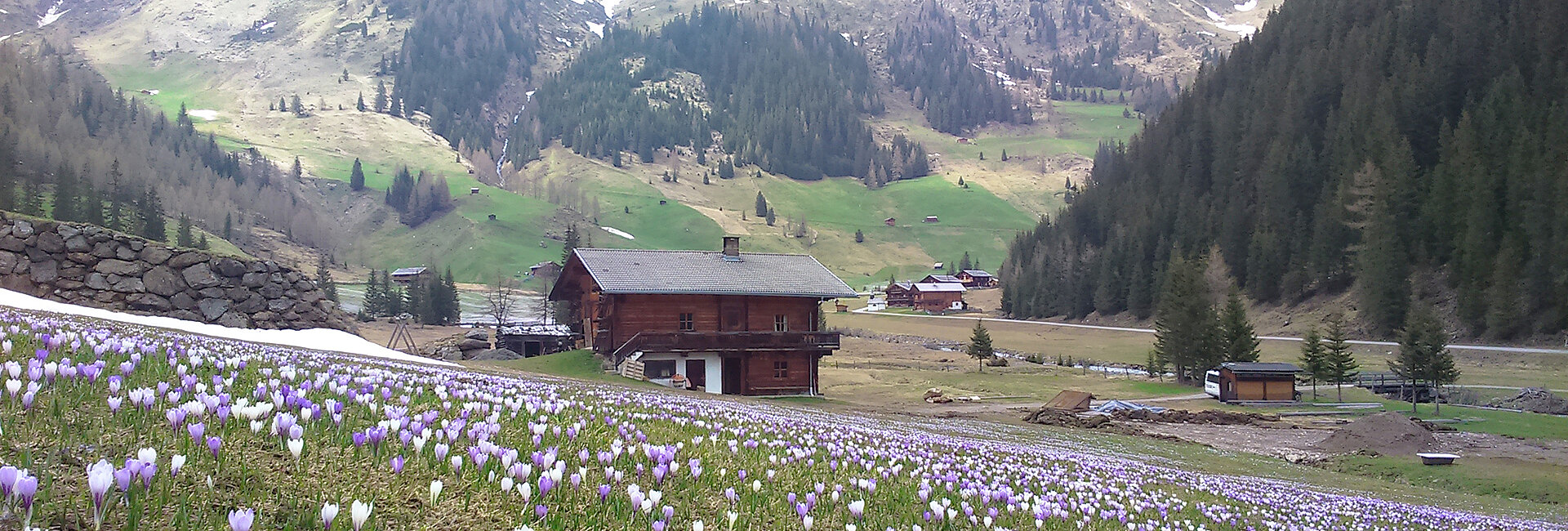 Almhütte Gutwenger im Blumenmeer