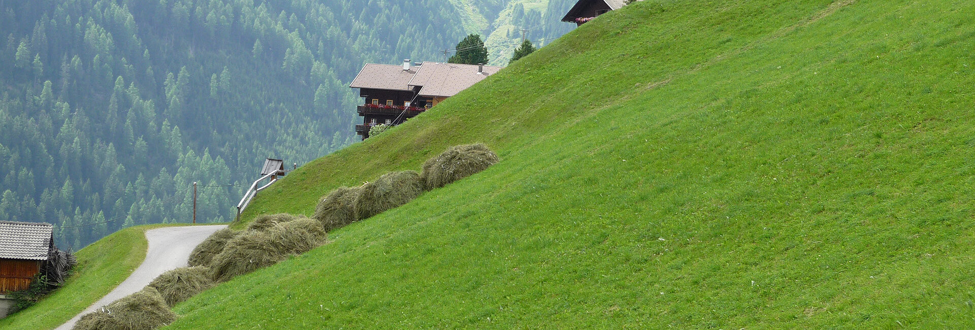 [Translate to Italienisch:] Heuballen, Futter im Winter